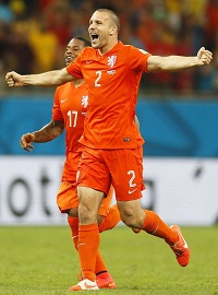 Ron Vlaar