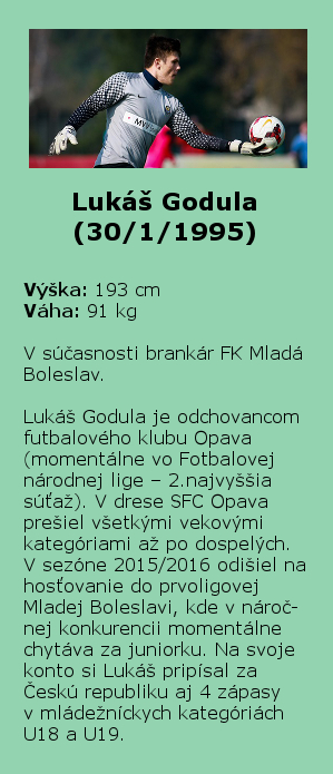 Lukáš Godula